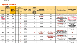 Monitoraggio Fase 2 Report settimanale