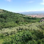 senza-titolo