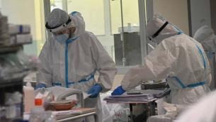 Covid, Palù: "Dobbiamo aspettarci altre pandemie da virus animali"