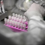 Covid, variante Pirola in Italia: cosa dicono Bassetti, Ciccozzi e Pregliasco
