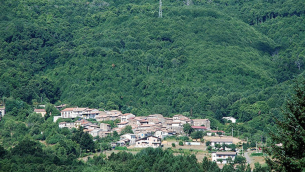foreste