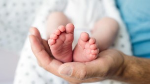 Maternità surrogata, clinica Kiev: "Qui 30 coppie italiane al mese per un figlio, costo 65mila euro"
