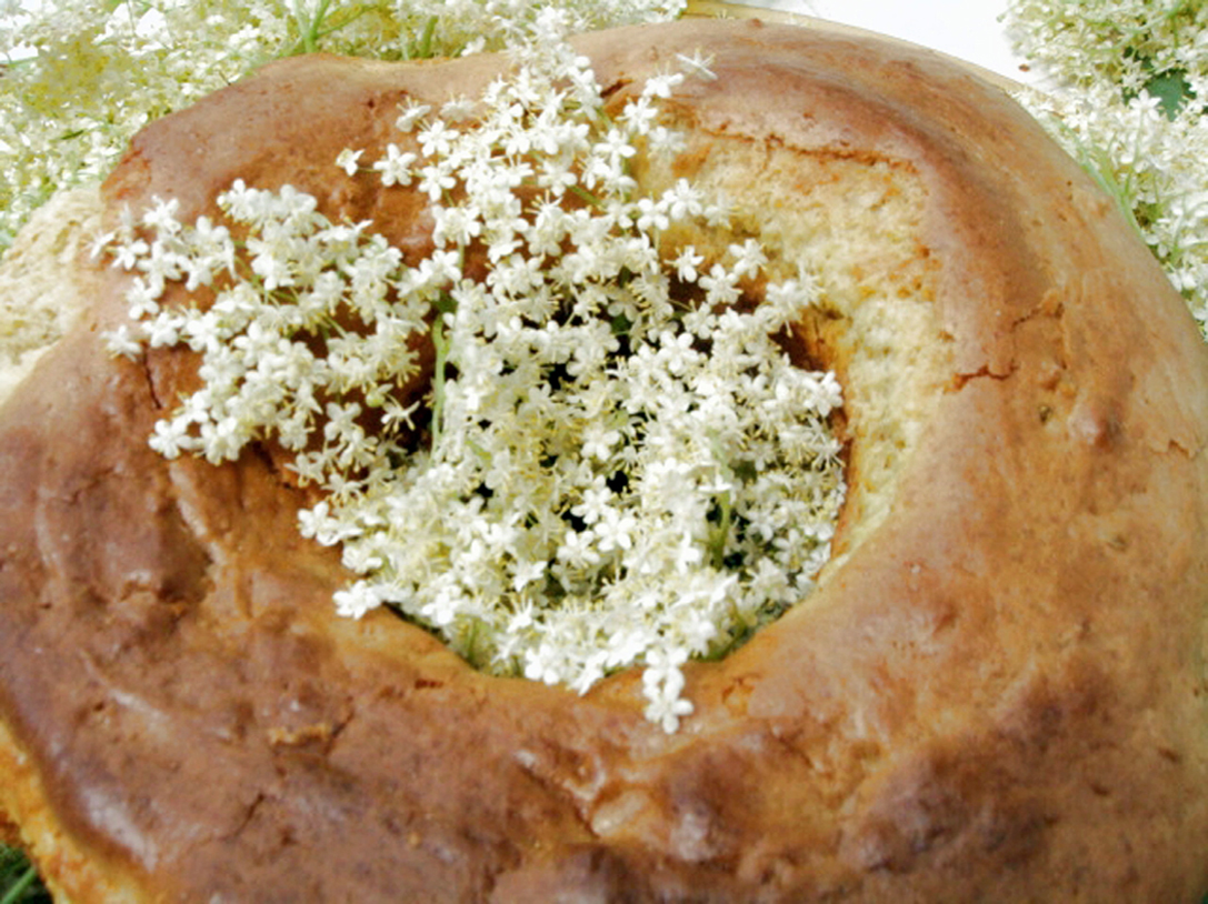 ‘U pani ‘e maju l’antica ricetta calabrese del pane ai fiori di sambuco
