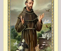 santino-san-francesco-dassisi-con-il-lupo-il-ponte-dellarcobaleno-ita-10x5