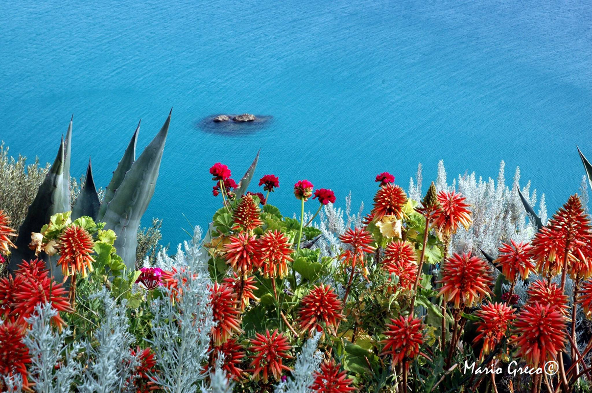 Capo Vaticano (foto di Mario Greco)