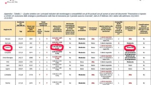 Monitoraggio Fase 2 Report settimanale