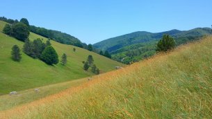 Paesaggio silano (Foto di Mario Greco)