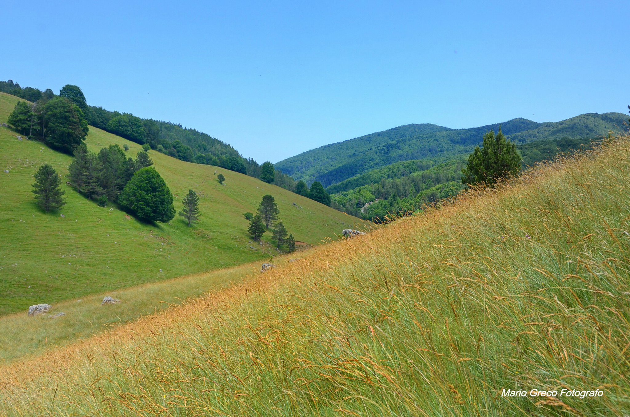 Paesaggio silano (Foto di Mario Greco)