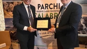 assisi-premio