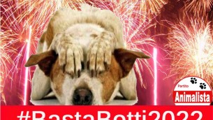 basta_botti_2022_logo