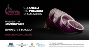 consorzioditutelacipollarossaditropeacalabriaigp-270423