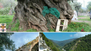 Collage - Santi 40 Martiri (1)