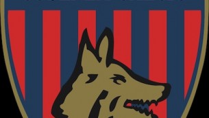 cosenza_calcio_logo-svg-copia