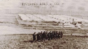 ferramonti