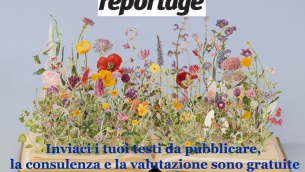 fiori-selvatici-sue-blackwell-2014