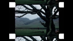 frame-1