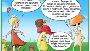 fumetto-funghi_02