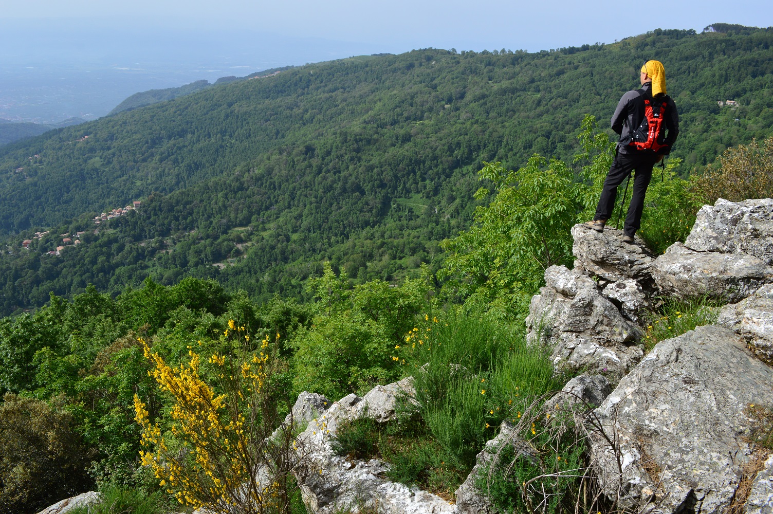 g2407-g-reventino-m-mancuso-ph-f-bevilacqua