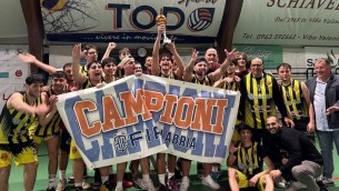 gamian-basket-belvedere