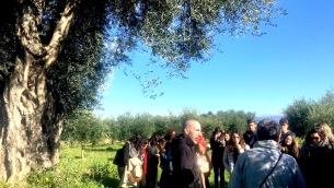 gli-studenti-dellunical-a-castellace