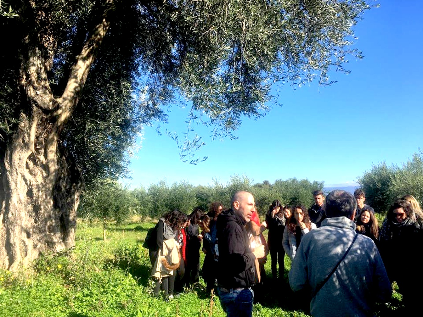 gli-studenti-dellunical-a-castellace