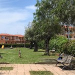il-parco-pinna-a-sant-eufemia-gen-2023_7079c_7c26b