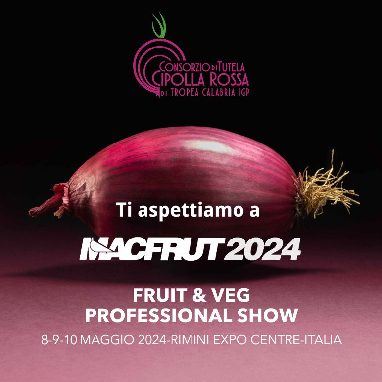 immagine-1