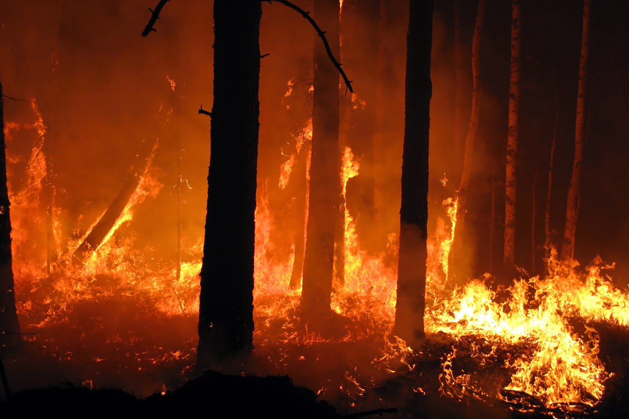 incendi-boschivi