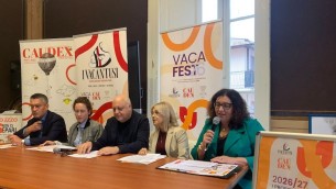 iona-gatto-motrelli-pugliese-pileggi