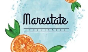 logo-marestate