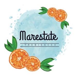 logo-marestate