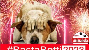 logo_comunicato_basta_botti_2023