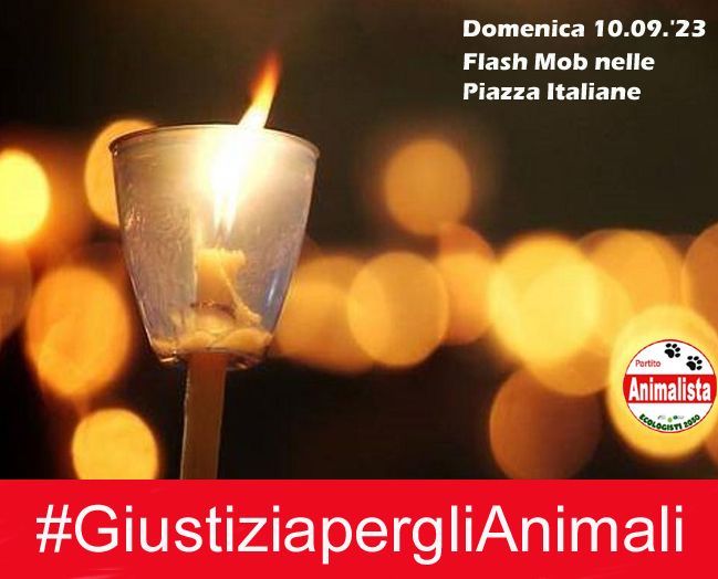 logo_flash_mob_animalista_10_09_23