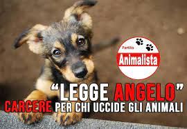logo_legge_angelo_2