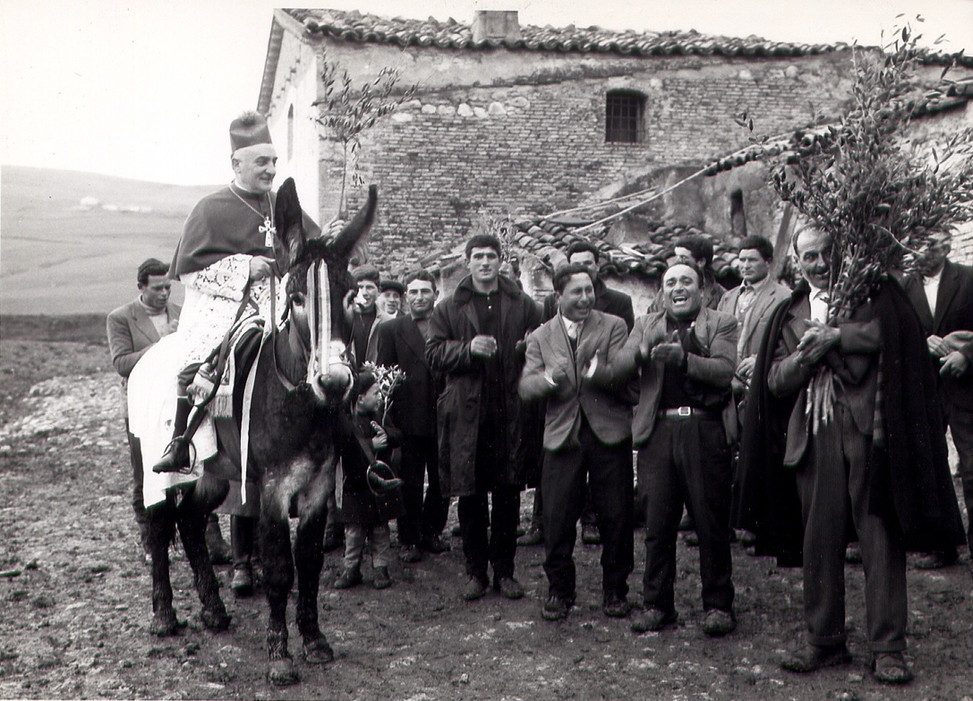 Mons. Renato Luisi