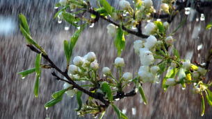 meteo-ponte-25-aprile-660x350