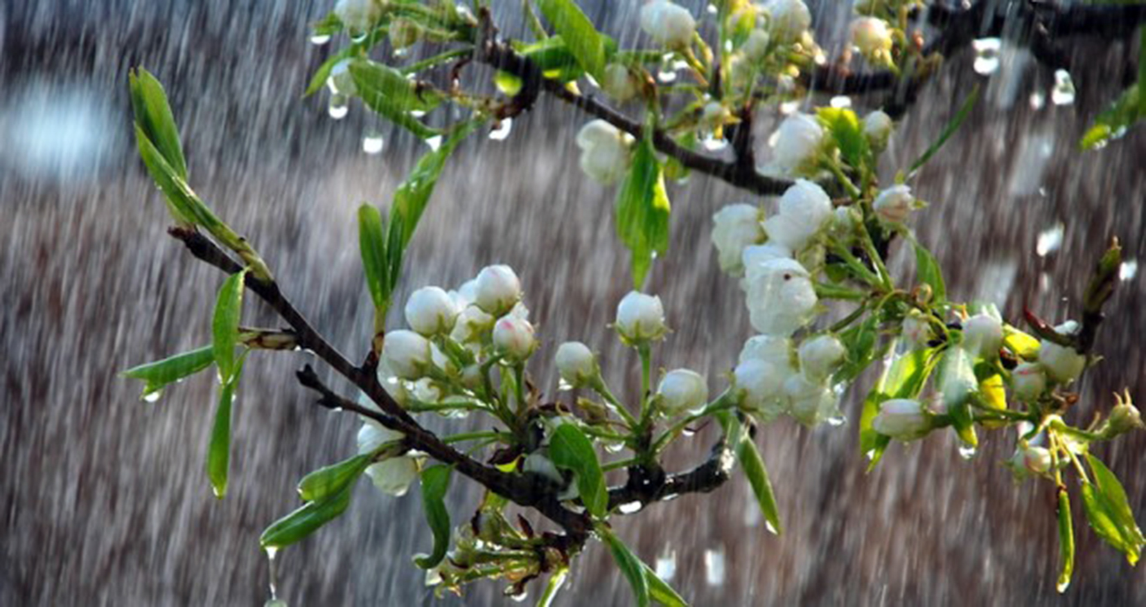 meteo-ponte-25-aprile-660x350