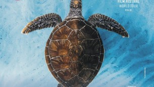 ocean-film-festival-world-tour-2-768x555