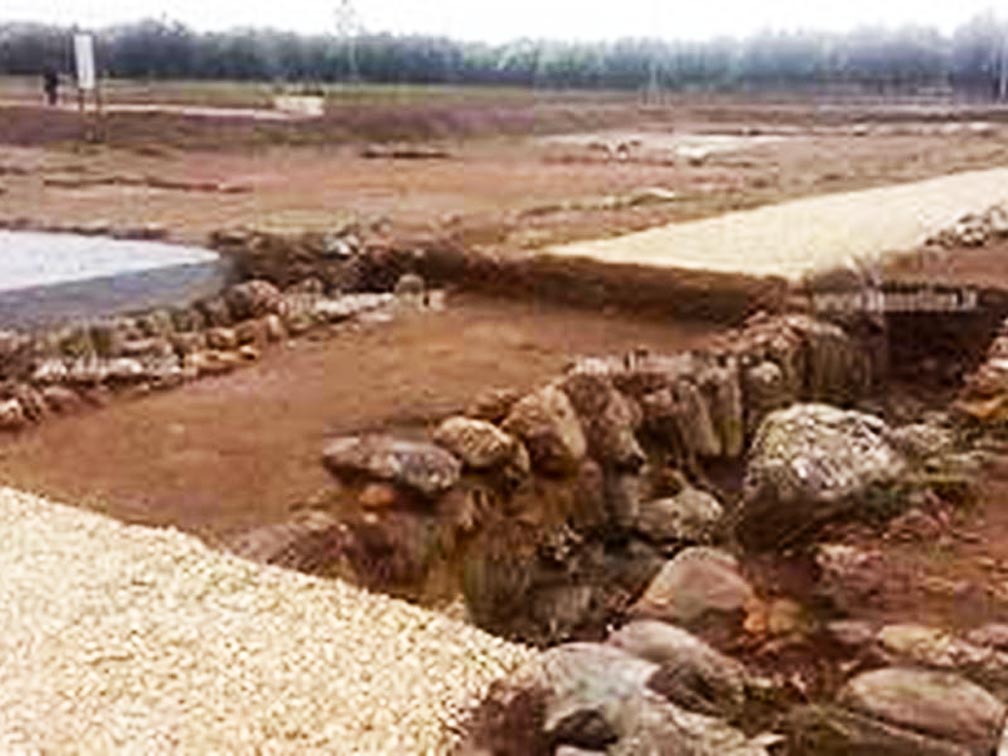 Area archeologica di Terina