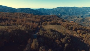 patrimonio-naturalistico-conflenti