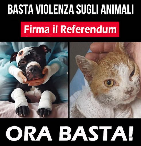 referendum_giustizia_per_animali