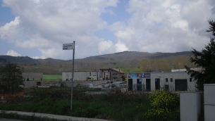 SDC10313