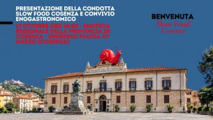 sf_cosenza_1