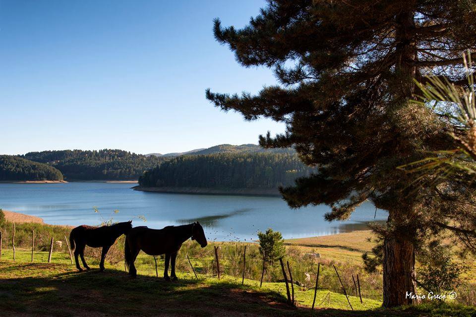 Paesaggio silano (foto di Mario Greco)