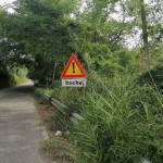sostegno-di-robinia