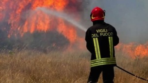 vigili-in-azione