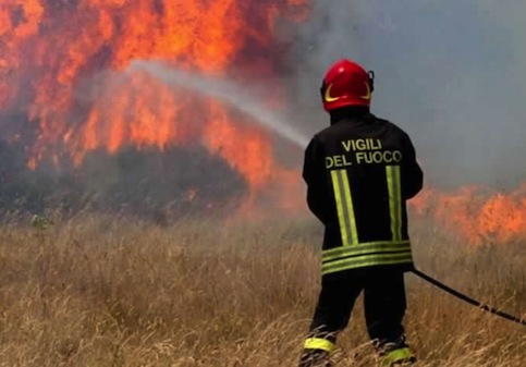 vigili-in-azione