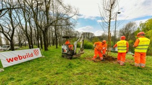 A Milano oltre 730 alberi messi a dimora nei parchi colpiti dal nubifragio del 2023