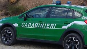 Carabinieri forestale arrestano due persone per incendio capannone dismesso