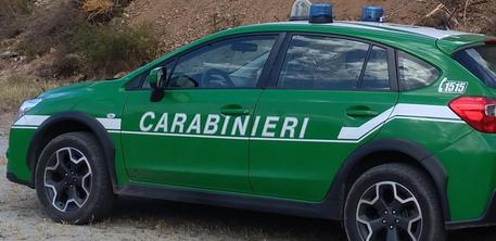 Carabinieri forestale arrestano due persone per incendio capannone dismesso